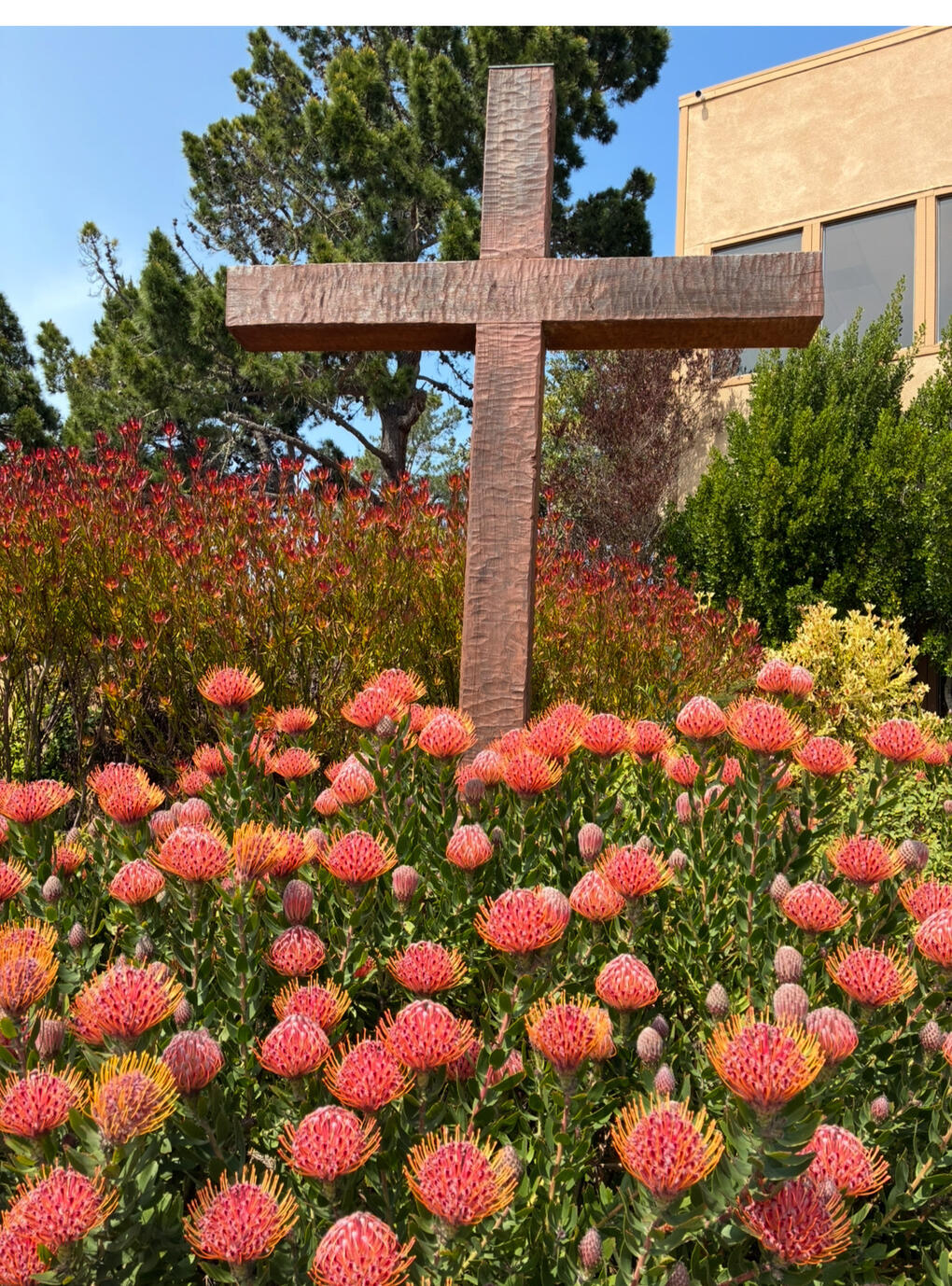 Morgan Wallen - one of Prunetucky CA's favorite musicians